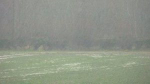 Sidford Fields 14.02.14