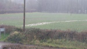 Sidford Fields (2)  14.02.14